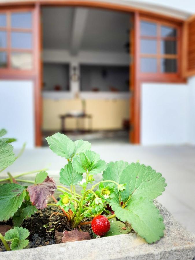 Las Esterlicias テロル エクステリア 写真